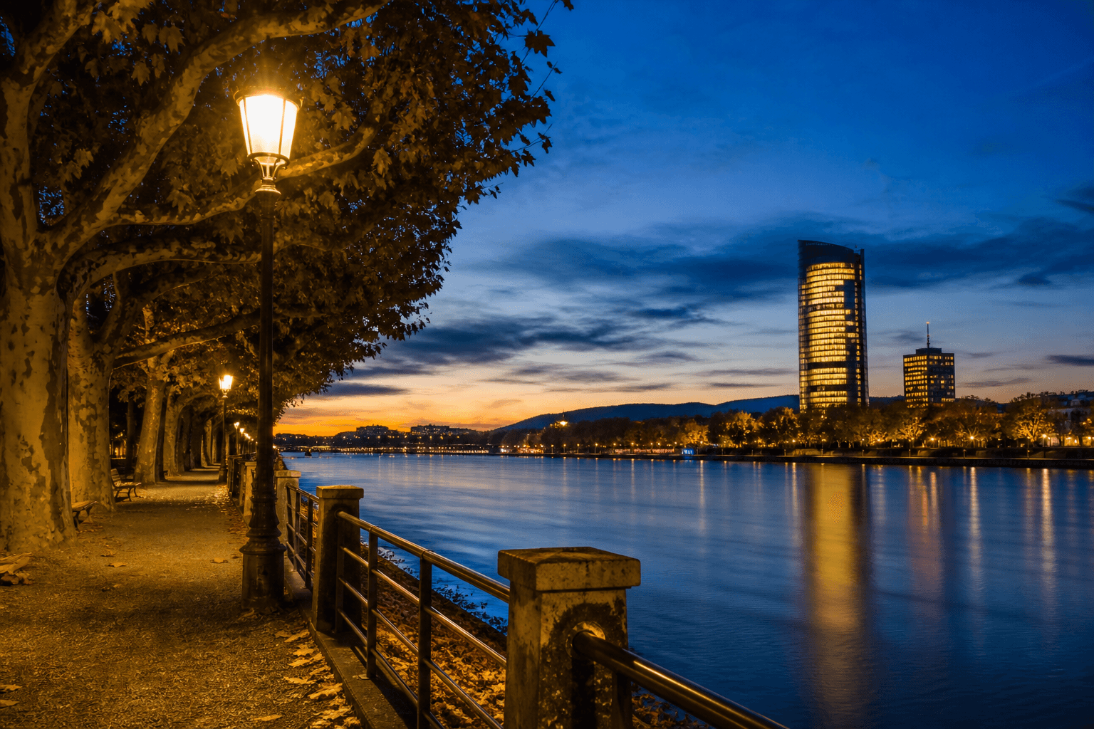 PLACEHOLDER: Rheinpromenade und Post Tower bei Abendlicht — Escort Bonn (Austauschbild)