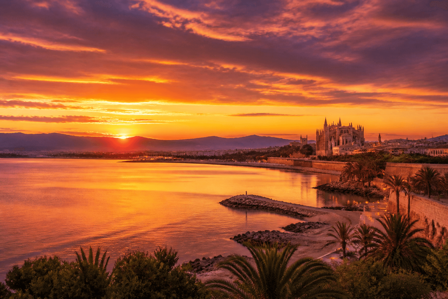 PLACEHOLDER: Palma-Bucht und Kathedrale bei Sonnenuntergang — Escort Mallorca (Austauschbild)
